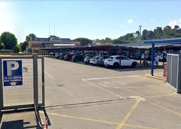 Ambassador Only - Self Check-in كاتوليكا